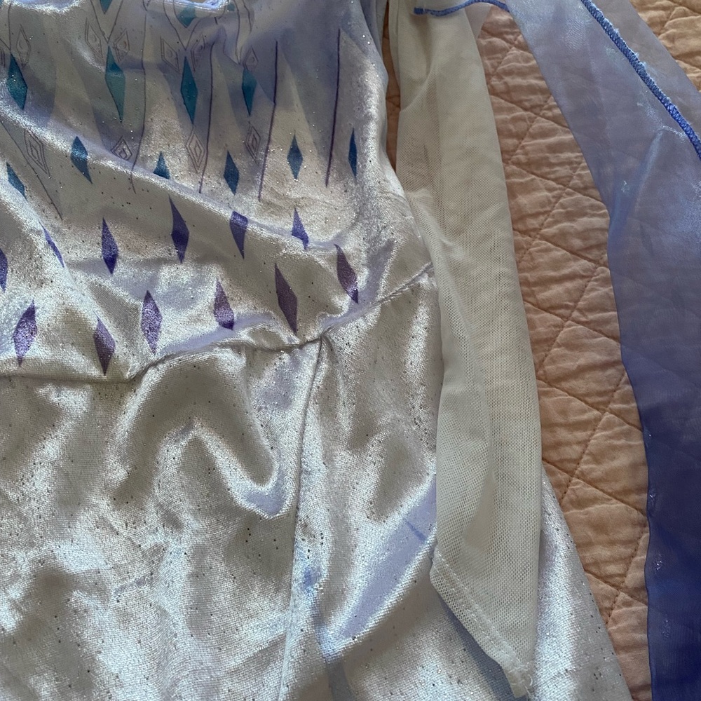 Elegant Blue and Silver Gown with Sheer Accents Elsa dress - Picture 3 of 6